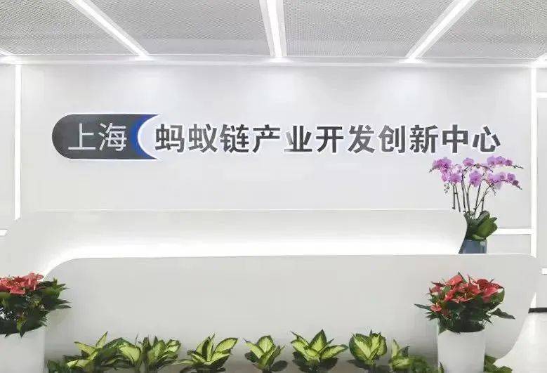 今年來，平均每個月就有3家區(qū)塊鏈企業(yè)“落戶”靜安這里！“數(shù)通鏈谷”正在起勢賦能