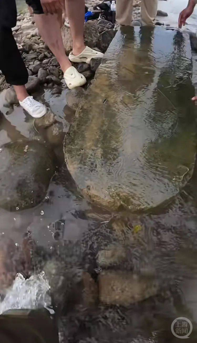 “當(dāng)時(shí)就無心釣魚了！”河南釣友在洛陽附近“釣”到古碑？文保部門回應(yīng)