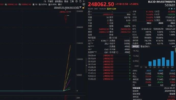 印度一小盤股一天暴漲6692535%，單日漲幅刷新全球記錄