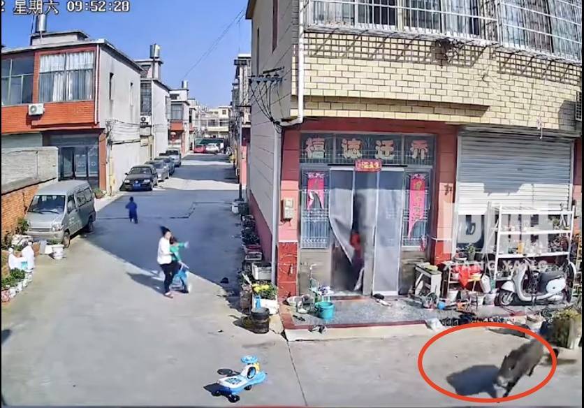 不是上海！不是上海！不是上海！最新：已被特警擊斃