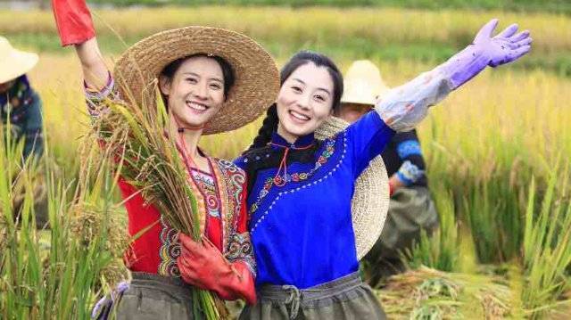 紅河元陽(yáng)人本色演出！網(wǎng)絡(luò)大電影《梯田姐妹》獲大獎(jiǎng)了