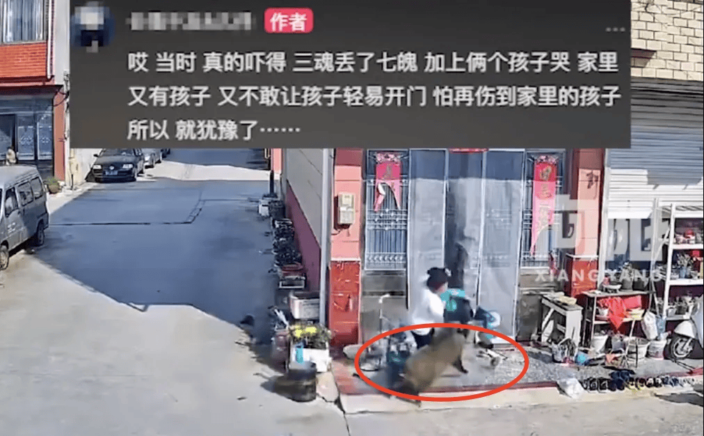 街頭橫沖直闖，抱娃女子被撞傷，警方：已被特警擊斃