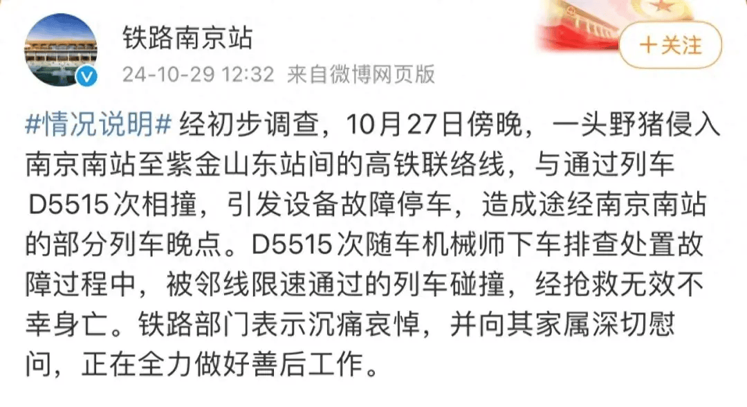街頭橫沖直闖，抱娃女子被撞傷，警方：已被特警擊斃
