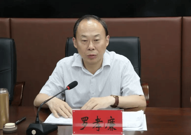 羅孝廉，被查