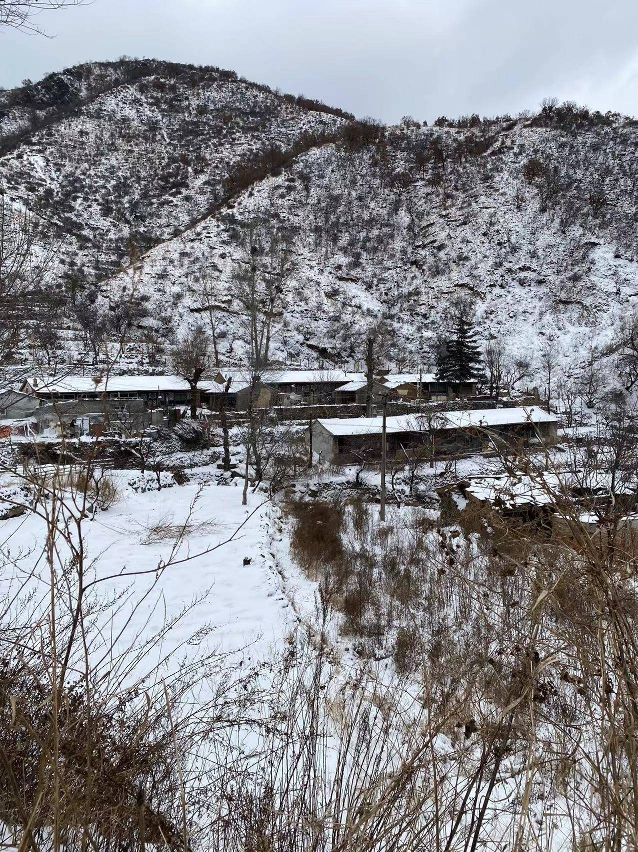 北京海拔最高山村：積雪已沒(méi)過(guò)腳面，山林銀裝素裹