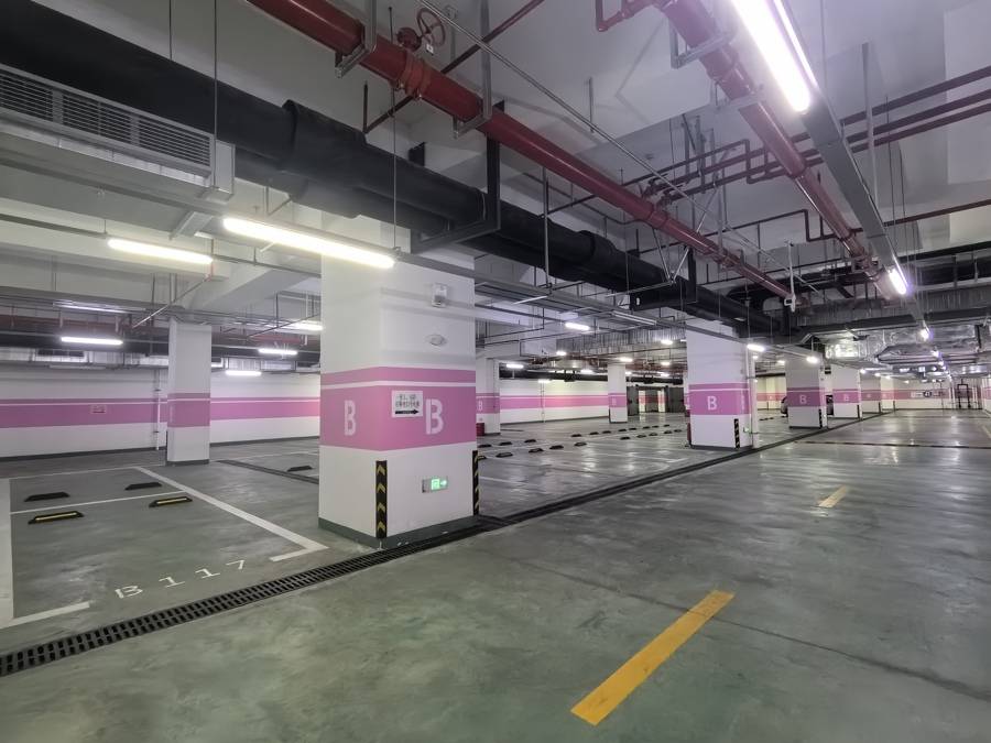 車庫(kù)寧可空著也不給停？300多輛車被硬擠到馬路上！浦東這些場(chǎng)館怎么了？
