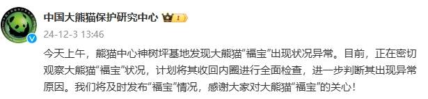 中國大熊貓保護研究中心回應“‘福寶’出現(xiàn)狀況異?！保赫芮杏^察其狀況，計劃將其收回內圈進行全面檢查