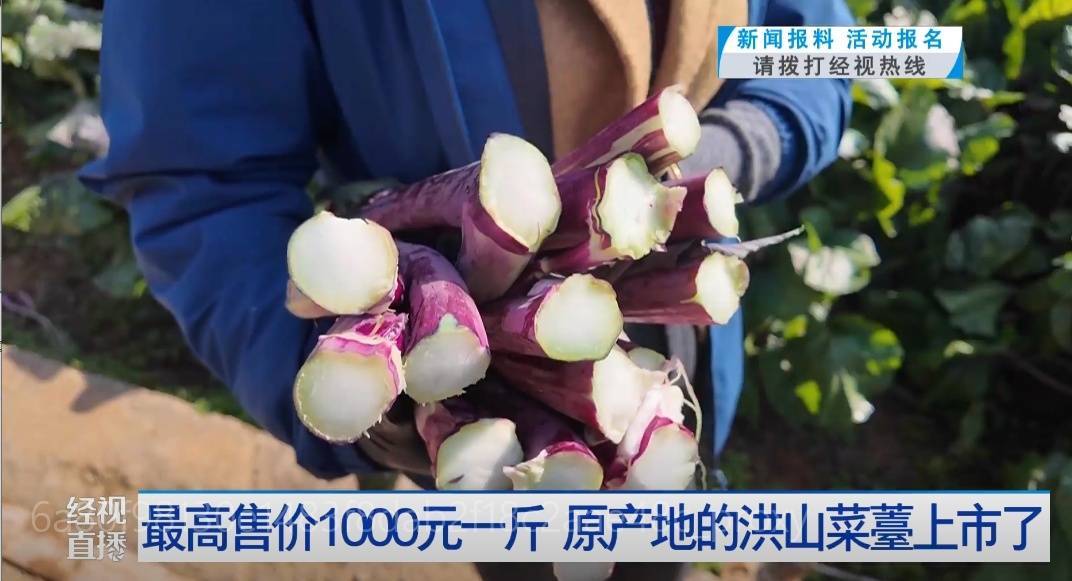 武漢人愛吃！最高1000元一斤，供不應求
