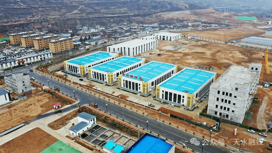 年產值50億元！天水即將建成國內這一最大產業(yè)園，位置在……