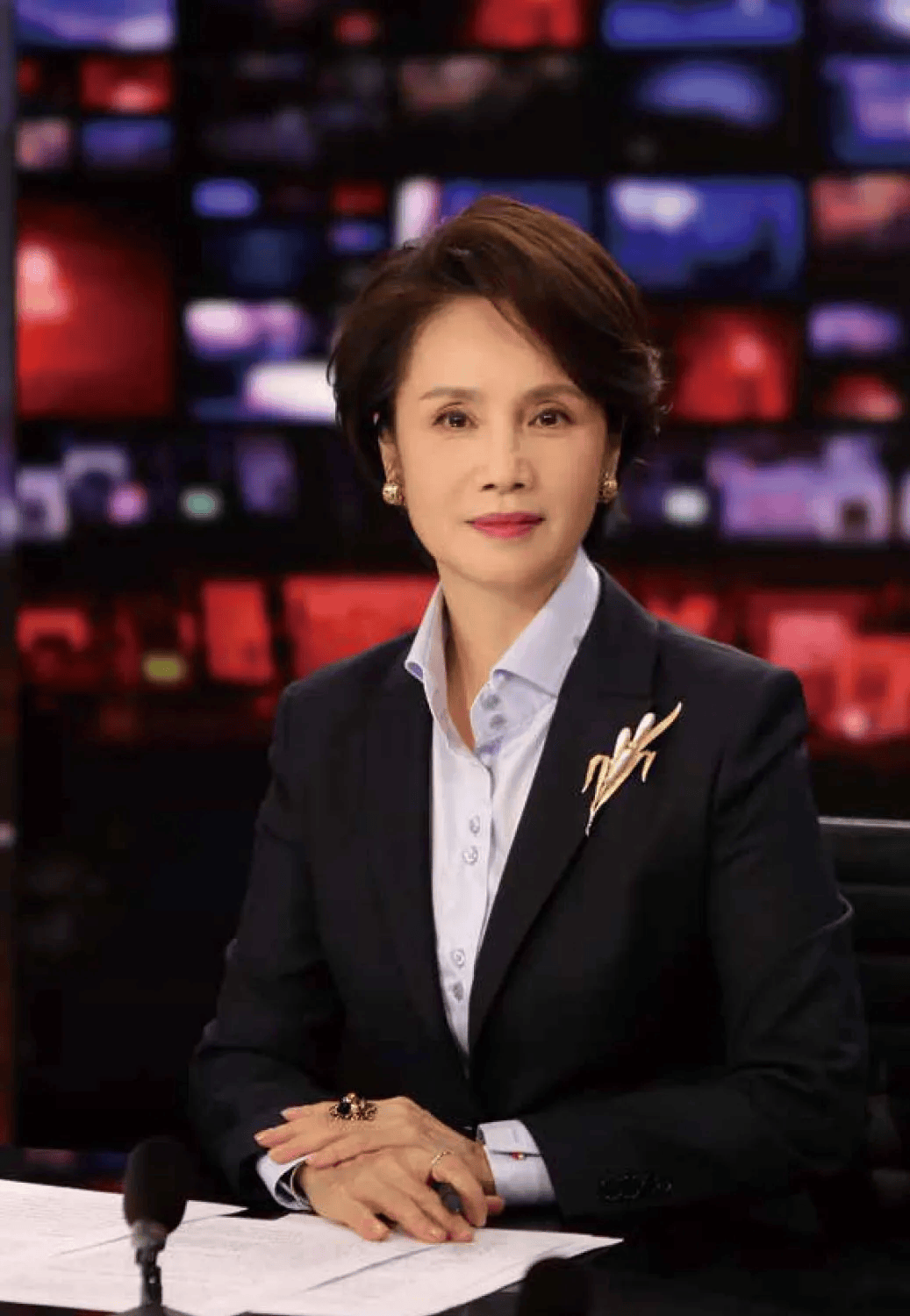 前央視知名主持人，轉(zhuǎn)行當(dāng)演員