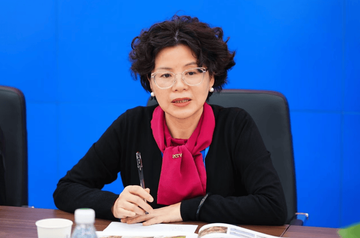 減少繞行超4公里！深圳多位專家來(lái)到這條快速路……