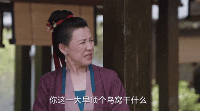 全網(wǎng)熱議，張馨予的頭上為什么要頂個“鳥窩”？