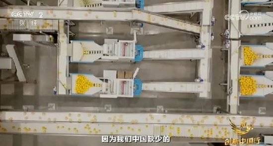 2024年末央視再度專訪鐘睒睒，背后有何深意？