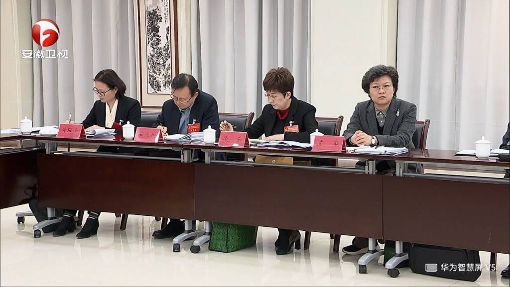 卸任黃山市委書記后，凌云參加了安徽省委十一屆九次全會(huì)