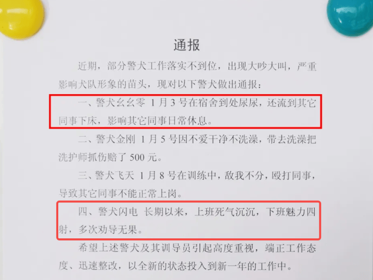 “上班死氣沉沉、下班魅力四射”，警犬被通報(bào)