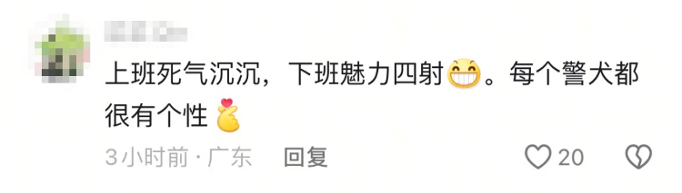 “上班死氣沉沉、下班魅力四射”，警犬被通報(bào)