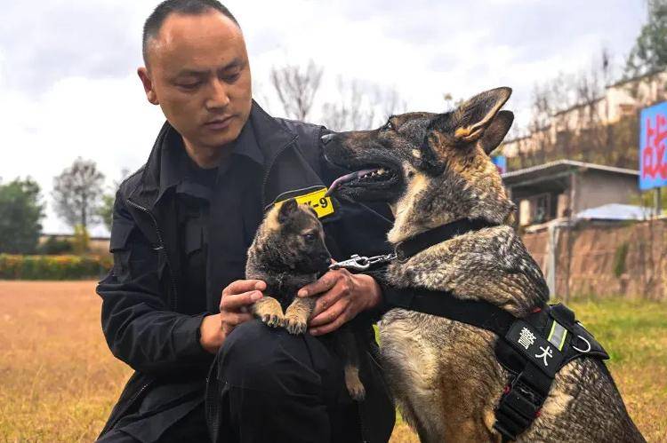 “上班死氣沉沉、下班魅力四射”，警犬被通報(bào)