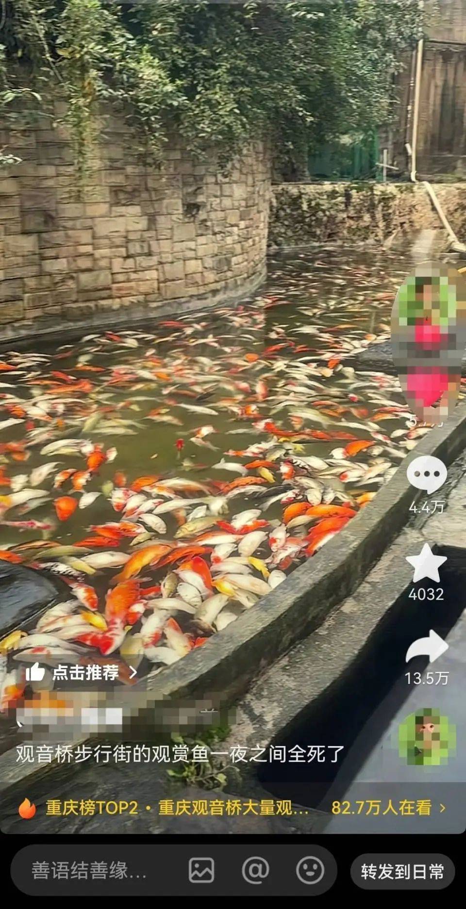 ?一公園觀賞魚大量死亡，死魚裝滿30余編織袋，警方通報(bào)