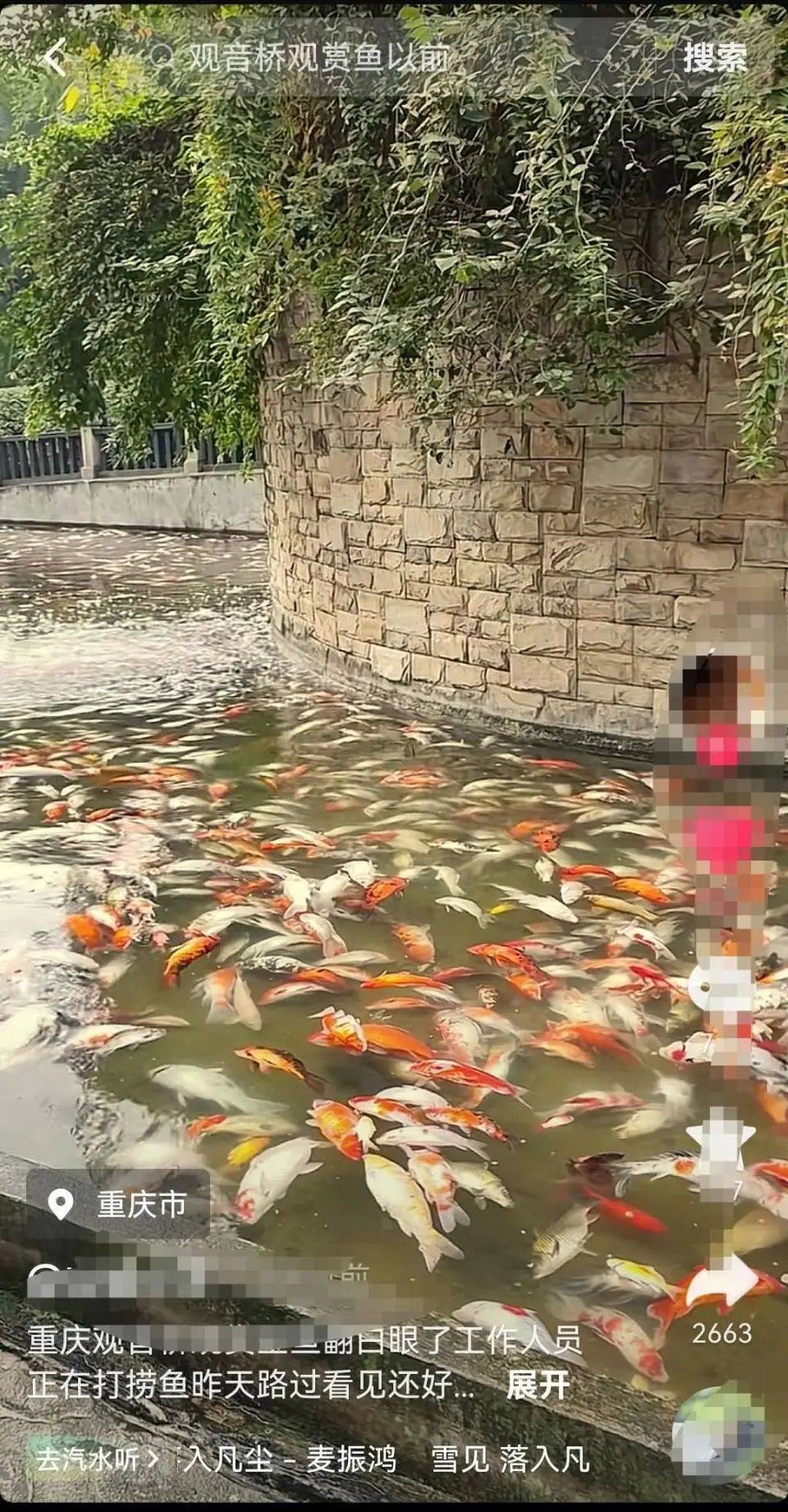 ?一公園觀賞魚大量死亡，死魚裝滿30余編織袋，警方通報(bào)