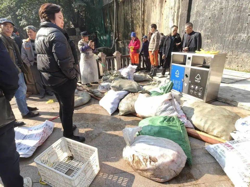 ?一公園觀賞魚大量死亡，死魚裝滿30余編織袋，警方通報(bào)