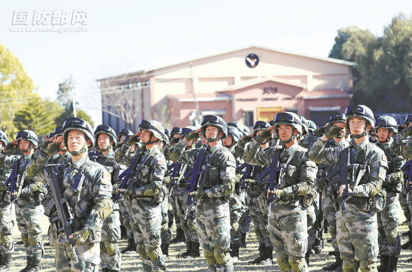 金燦榮：電詐集團(tuán)太猖狂！必要時(shí)派解放軍消滅！