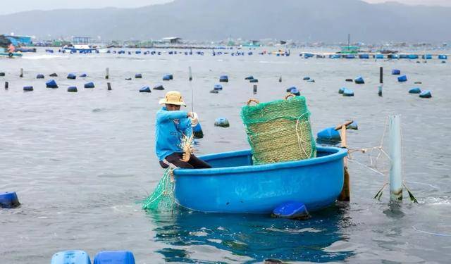 越南漁民焦慮了：中國(guó)人回微信我才能睡個(gè)好覺