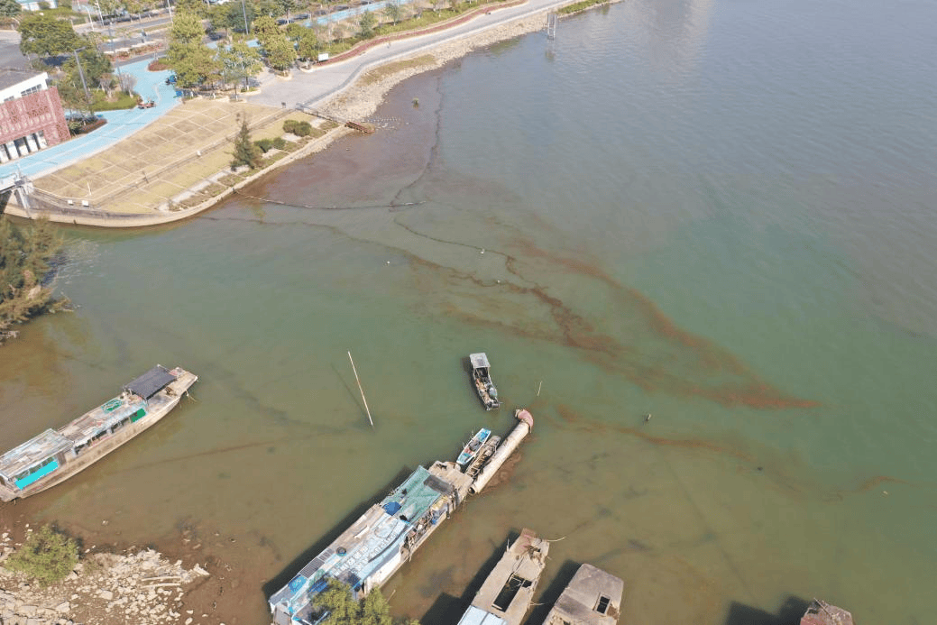 海邊密集出現(xiàn)“爆爆珠”？廣州、深圳等多地發(fā)布提醒