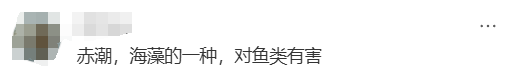 海邊密集出現(xiàn)“爆爆珠”？廣州、深圳等多地發(fā)布提醒