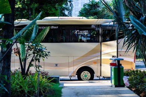 公交車，越變越??？