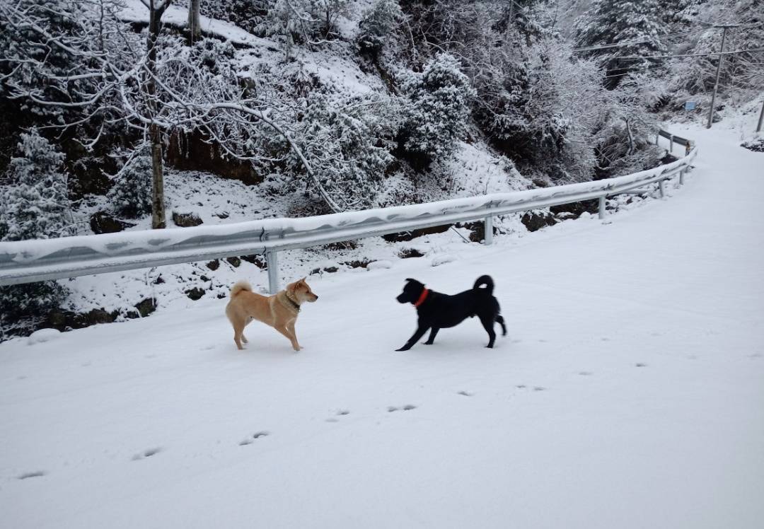 零下7℃！大到暴雪！剛剛確認(rèn)：杭州又來(lái)一波猛的！周末出門(mén)千萬(wàn)注意.....