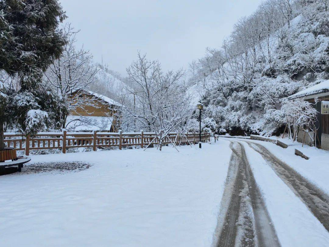 零下7℃！大到暴雪！剛剛確認(rèn)：杭州又來(lái)一波猛的！周末出門(mén)千萬(wàn)注意.....