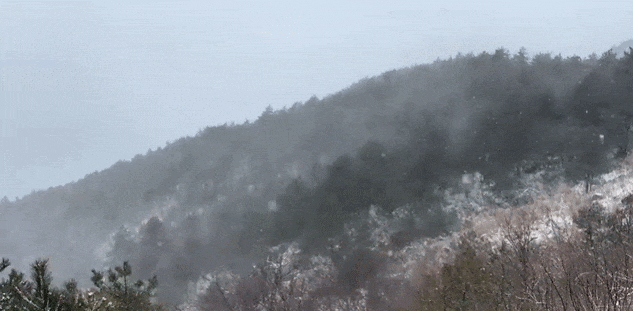 零下7℃！大到暴雪！剛剛確認(rèn)：杭州又來(lái)一波猛的！周末出門(mén)千萬(wàn)注意.....