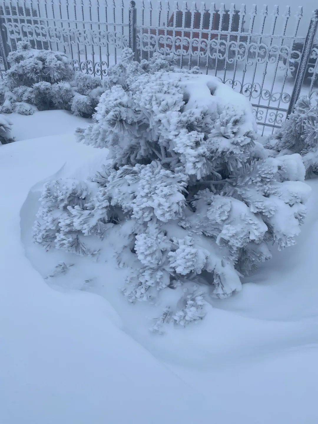 零下7℃！大到暴雪！剛剛確認(rèn)：杭州又來(lái)一波猛的！周末出門(mén)千萬(wàn)注意.....
