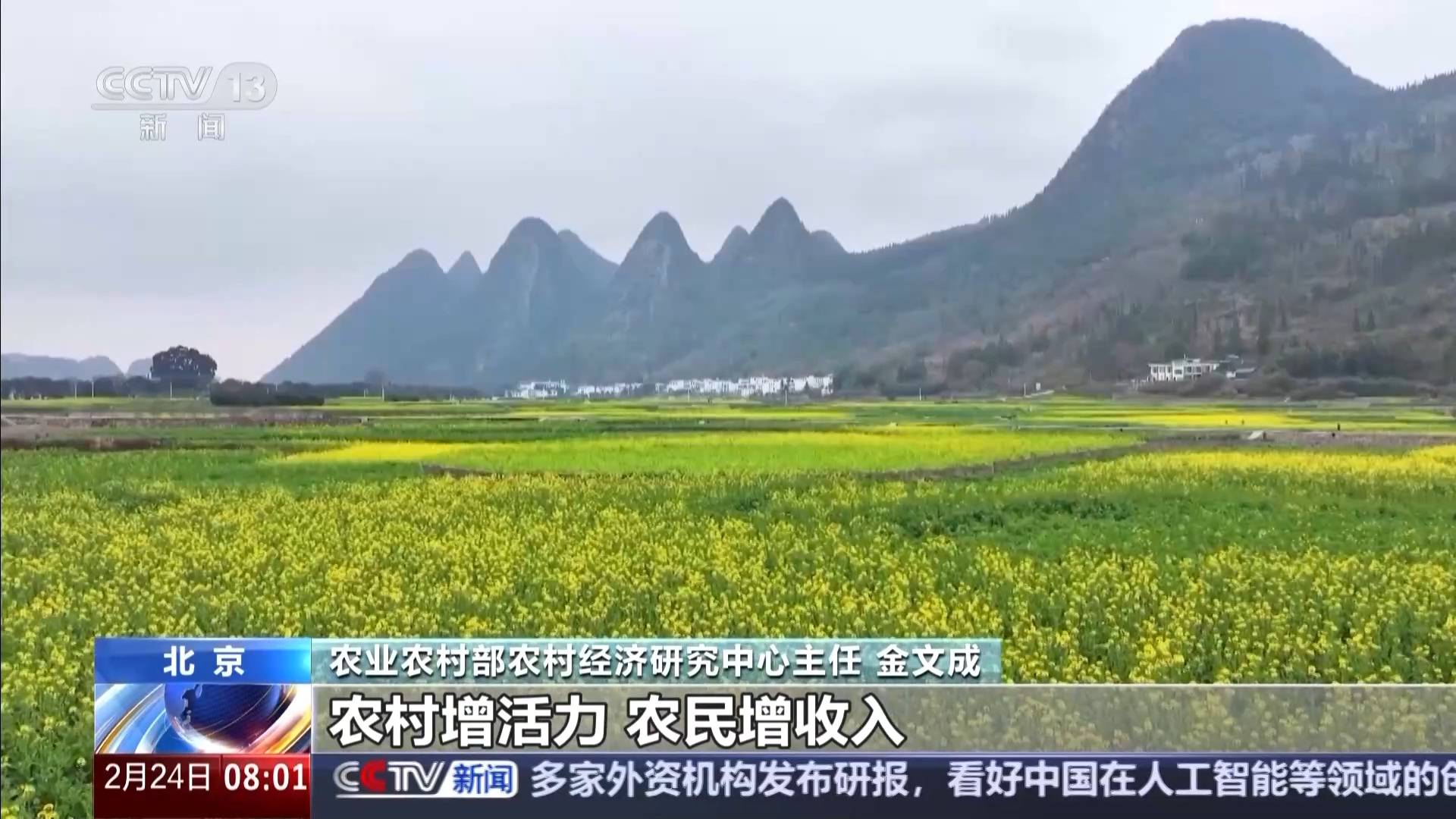中央一號文件發(fā)布 有何新亮點(diǎn)？