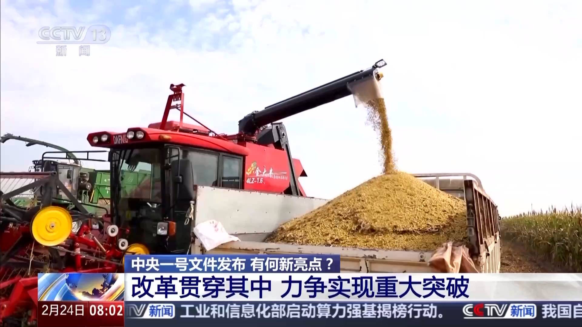 中央一號文件發(fā)布 有何新亮點(diǎn)？