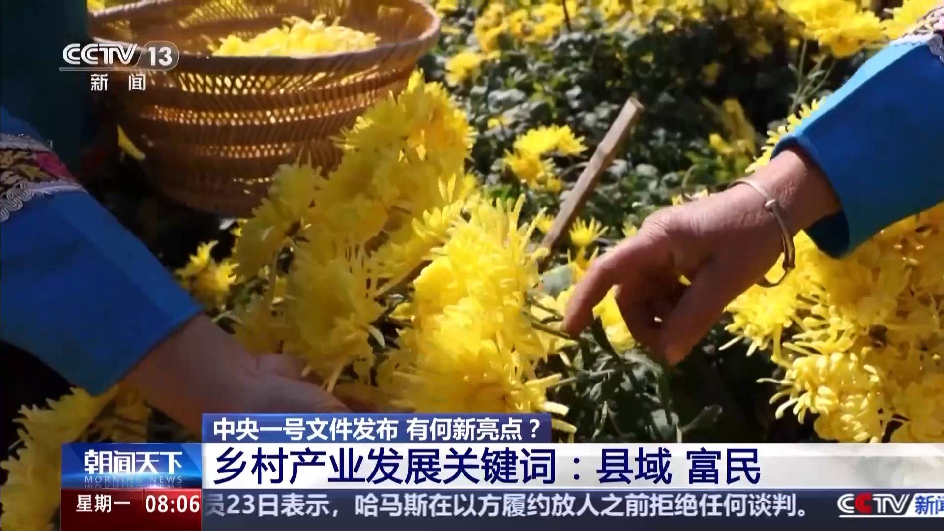 中央一號文件發(fā)布 有何新亮點(diǎn)？
