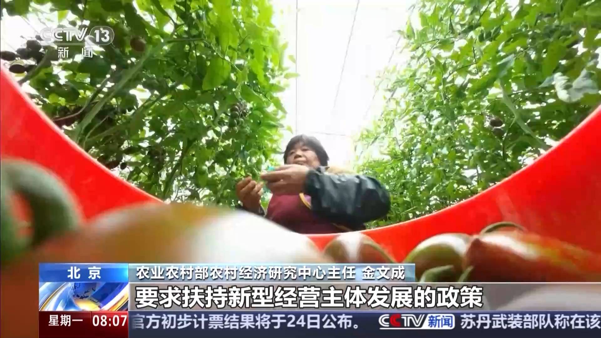 中央一號文件發(fā)布 有何新亮點(diǎn)？