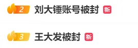 雙雙被封，徹底涼涼！網(wǎng)友：大快人心
