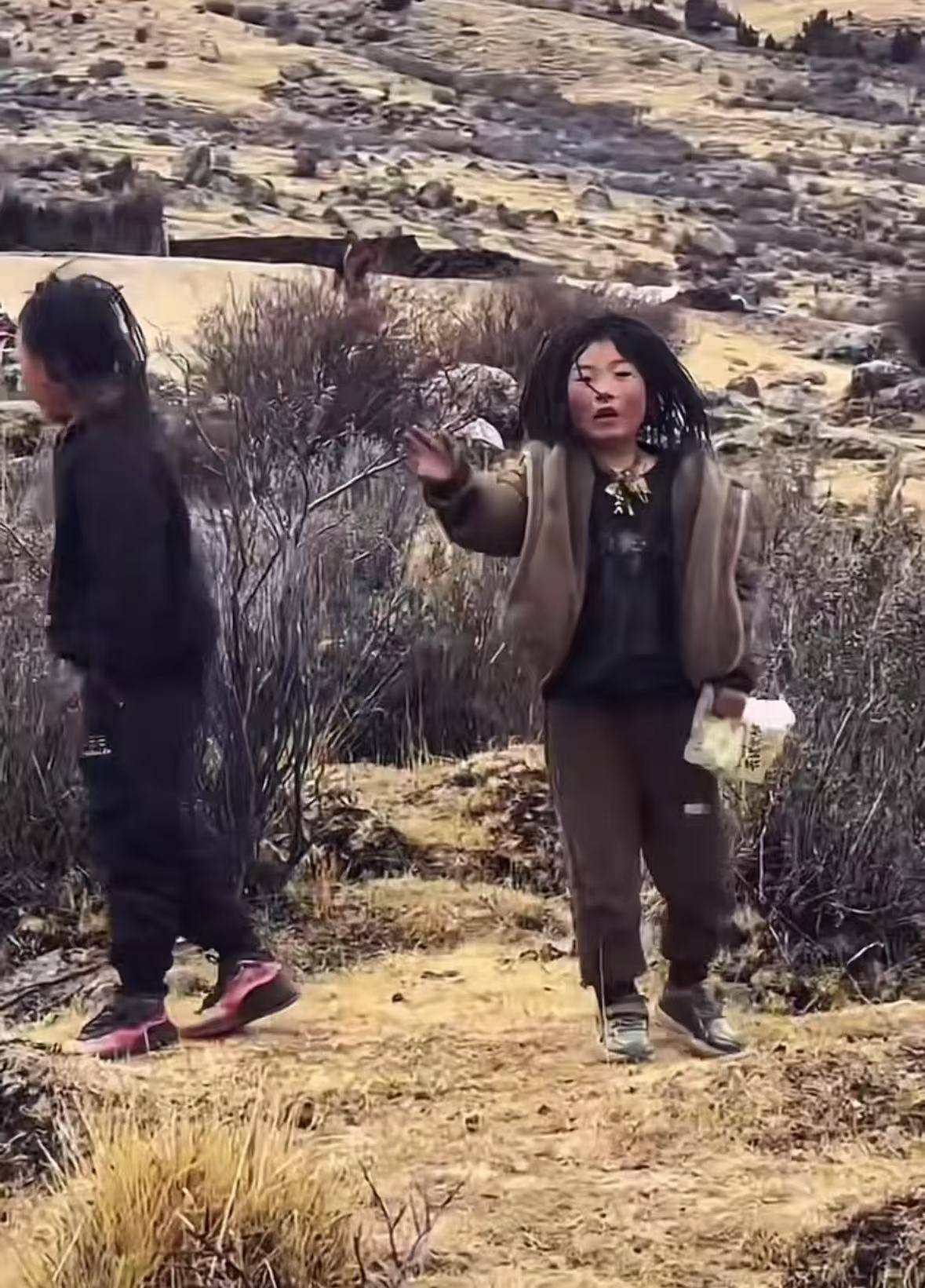 重慶男子在理塘旅游送當(dāng)?shù)匦『⒘闶?，反被?zèng)三只藏獒，“他們把我當(dāng)做很好的客人”