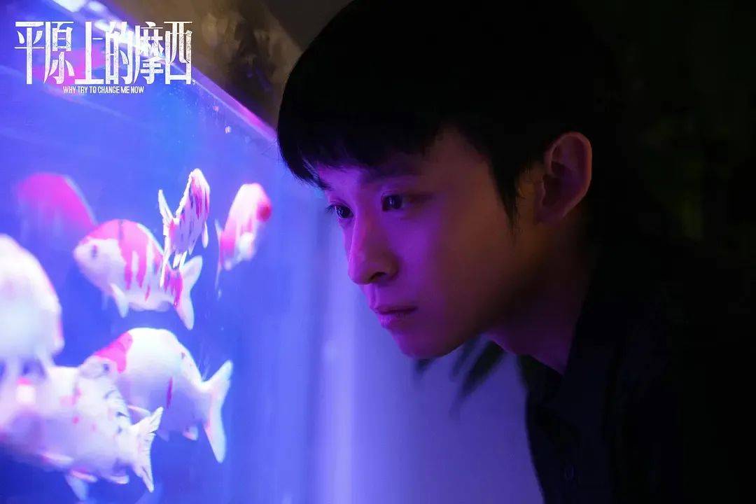 倆“謀女郎”主演電影雙雙撲街，明星陣容強大的國產(chǎn)文藝片為何失去觀眾？