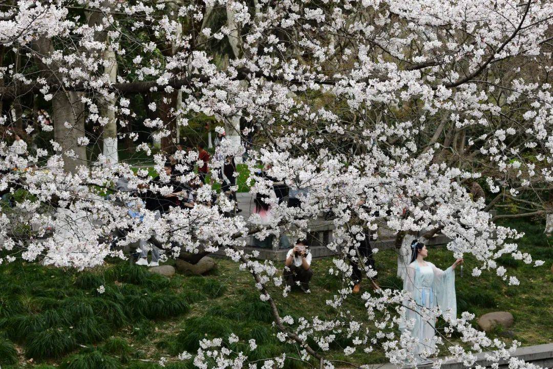 暴降17℃！浙江明起“大變臉”：暴雨、雷暴大風(fēng)、冰雹都要來！