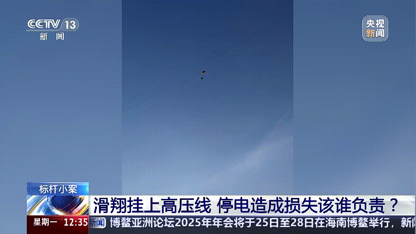 深圳女子被掛高壓線！停電救援，9池魚死光！他怒上法庭……