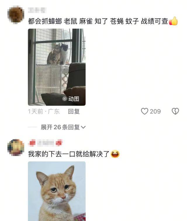 老鼠掉進(jìn)泳池，廣東大叔出動雞貓狗團(tuán)隊(duì)，結(jié)果全被老鼠嚇跑！網(wǎng)友坐不住紛紛曬戰(zhàn)績