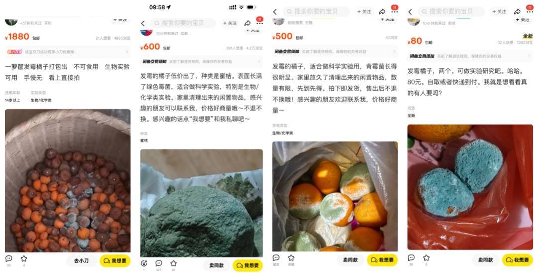 突然火了！有人賣500元一個！網(wǎng)友：后悔扔了……