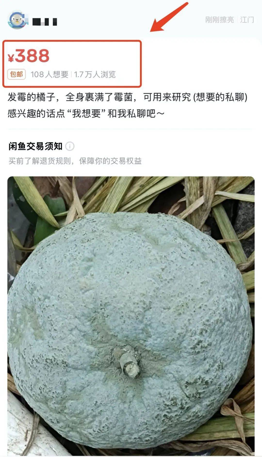 突然火了！有人賣500元一個！網(wǎng)友：后悔扔了……