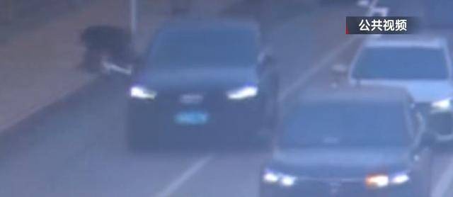 騎自行車(chē)碰瓷！北京一六旬男子騙取25人共4.6萬(wàn)余元，法院判了