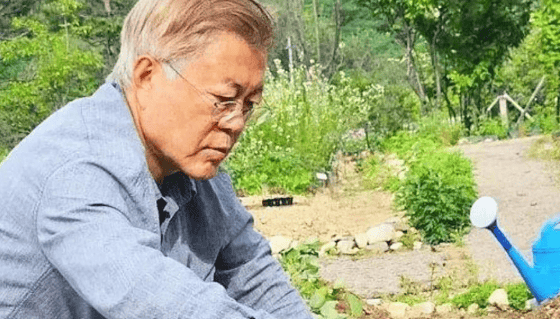 民調(diào)差25%！尹錫悅必須下臺？文在寅遭殃，李在明慌了