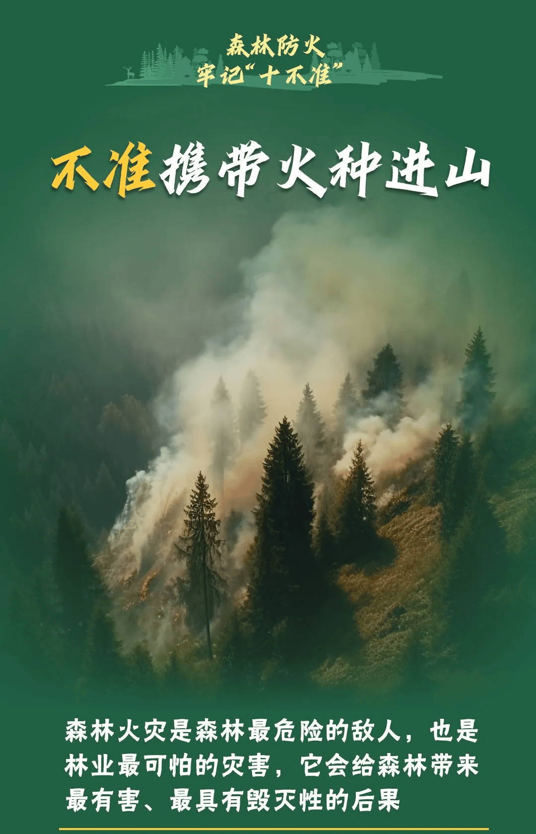 山火連發(fā)，原因公布！多地拉響紅色預(yù)警→