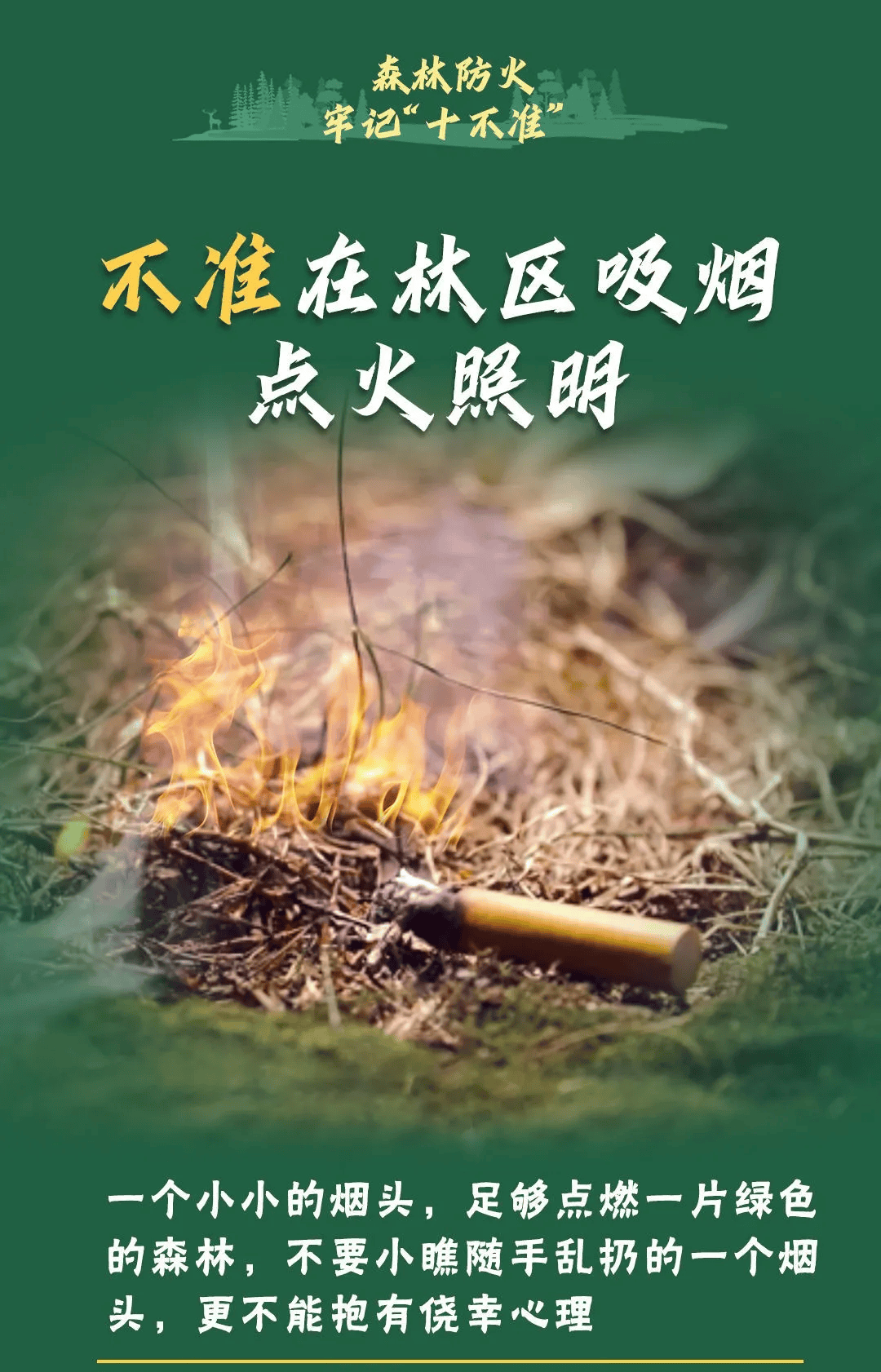 山火連發(fā)，原因公布！多地拉響紅色預(yù)警→