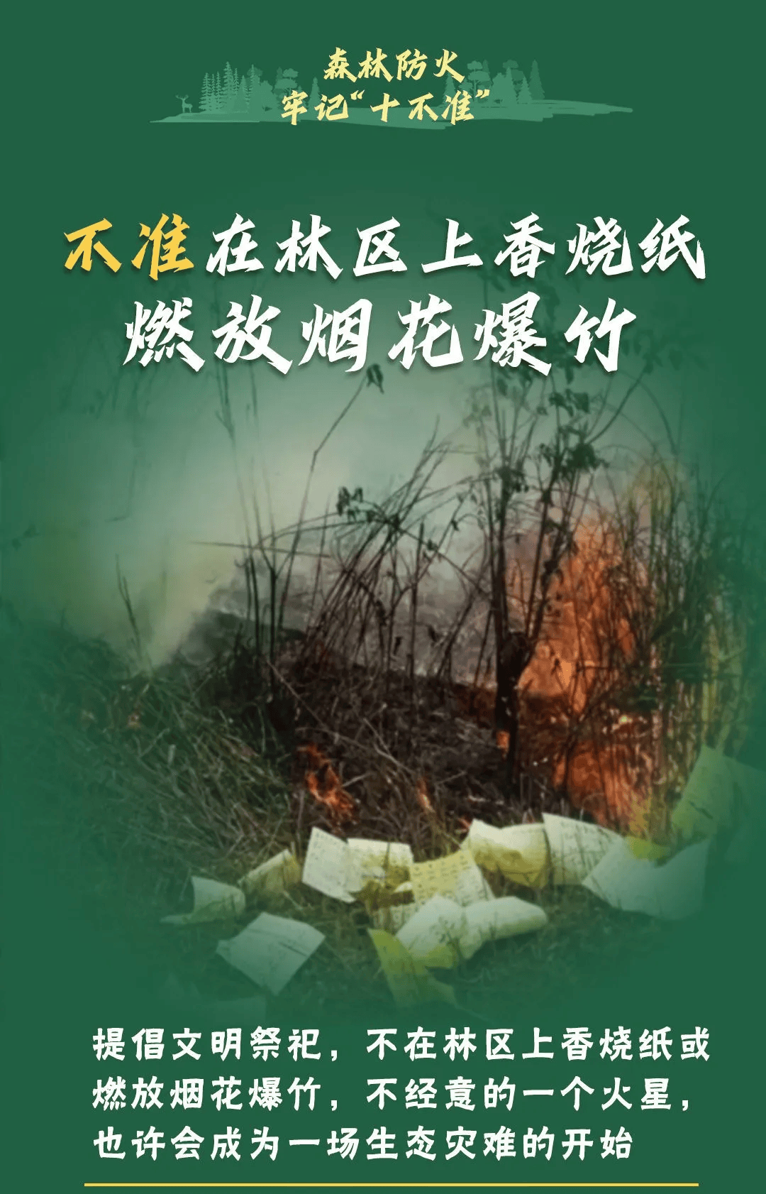 山火連發(fā)，原因公布！多地拉響紅色預(yù)警→